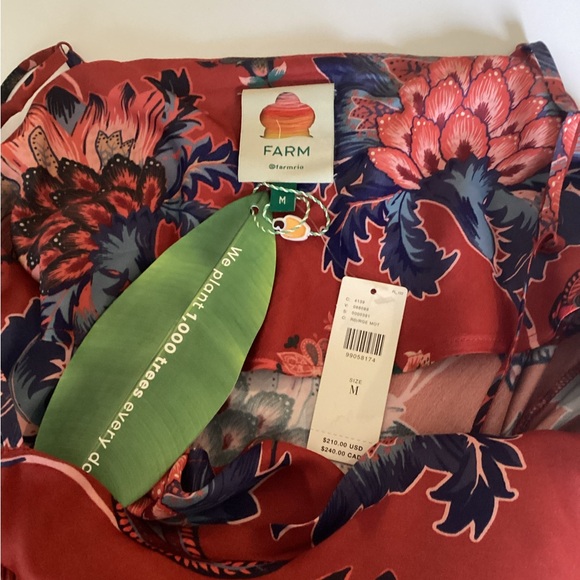 FARM Rio Vibrant Red and Blue Floral Maxi Dress - Picture 3 of 4